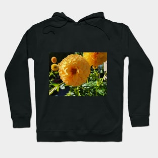 Golden Dahlias Hoodie